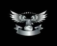 Silver Eagle Arms logo