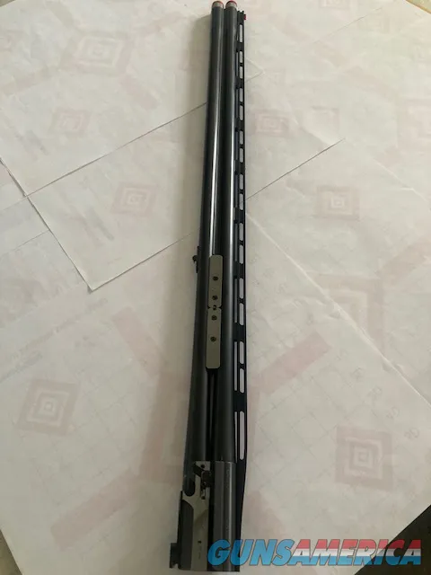 Blaser Guns