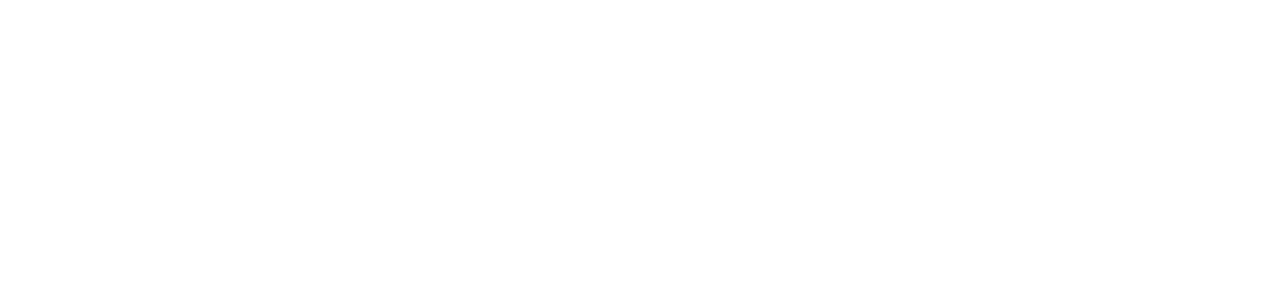 Lead and Steel logo