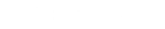 Black Aces Tactical logo