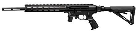 Sterling Arms International 
