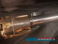 Pietta 1851 Navy Nickel and Gold .44 Percussion Revolver