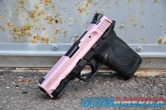 Smith & Wesson EZ 380 Shield X-Werks Cha...