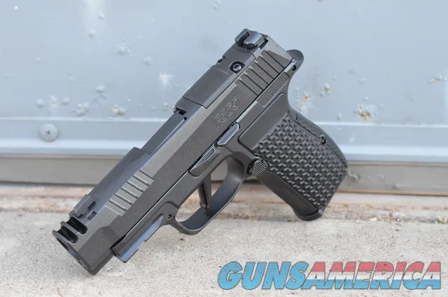 Sig Sauer P365 AXG LUXE 380acp EDC Comp ...