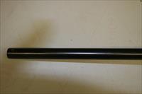 Brasileira De Cartuchos Companhia 12 GA Shotgun