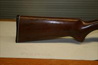 Brasileira De Cartuchos Companhia 12 GA Shotgun