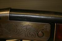 Brasileira De Cartuchos Companhia 12 GA Shotgun