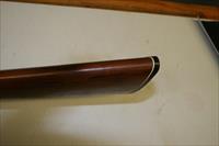 Brasileira De Cartuchos Companhia 12 GA Shotgun