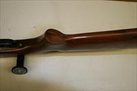 Brasileira De Cartuchos Companhia 12 GA Shotgun