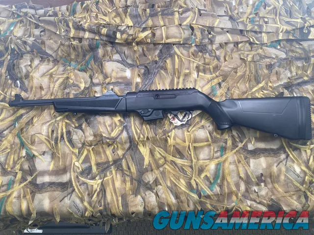 Ruger 9mm PC Carbine