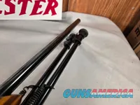 9380 Mauser Model 98 custom, 22-250, 24” barrel, bi pod, laminated stock, light trigger, custom bolt knob, cheek piece, tasco