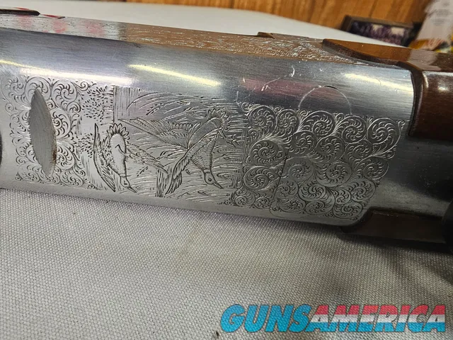9069  A. V. Maurcini 12 Gauge 28” Mod/FULL, double triggers, ejectors, brass front bead, dogs and ducks, pheasants on receive