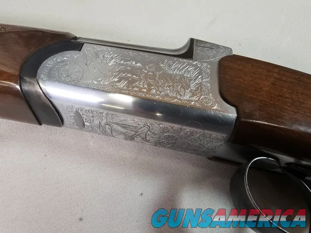 9069  A. V. Maurcini 12 Gauge 28” Mod/FULL, double triggers, ejectors, brass front bead, dogs and ducks, pheasants on receive