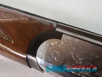 9069  A. V. Maurcini 12 Gauge 28” Mod/FULL, double triggers, ejectors, brass front bead, dogs and ducks, pheasants on receive