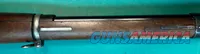 Mauser Argentino Modelo 1909