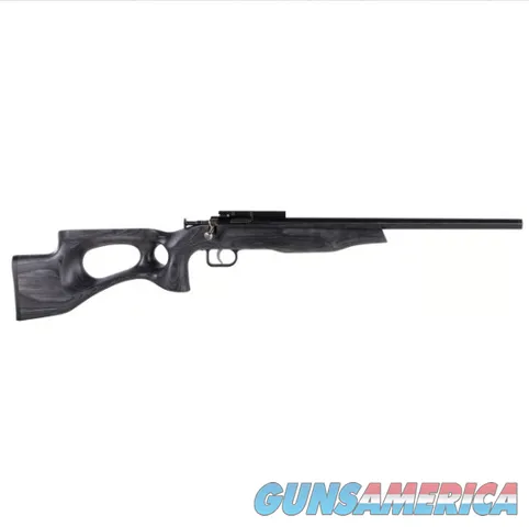 Keystone Sporting Arms Crickett Ex Targe...