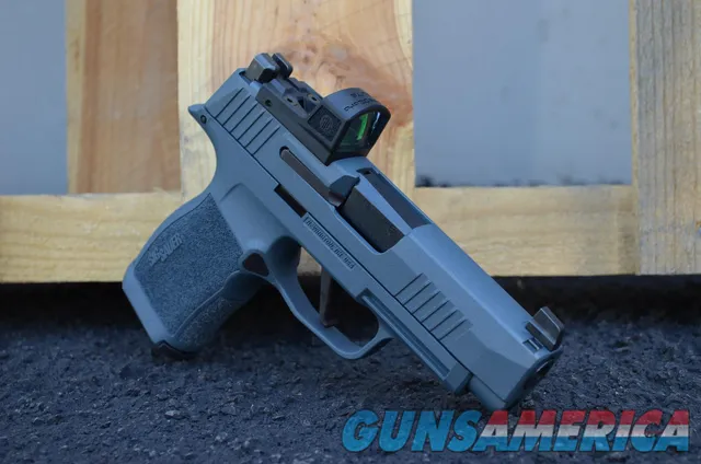 Sig Sauer P365XL Romeo Zero Elite Optic ...