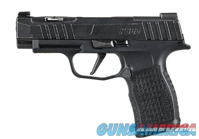 Sig Sauer P365XL Spectre (P365V001)--SAL...