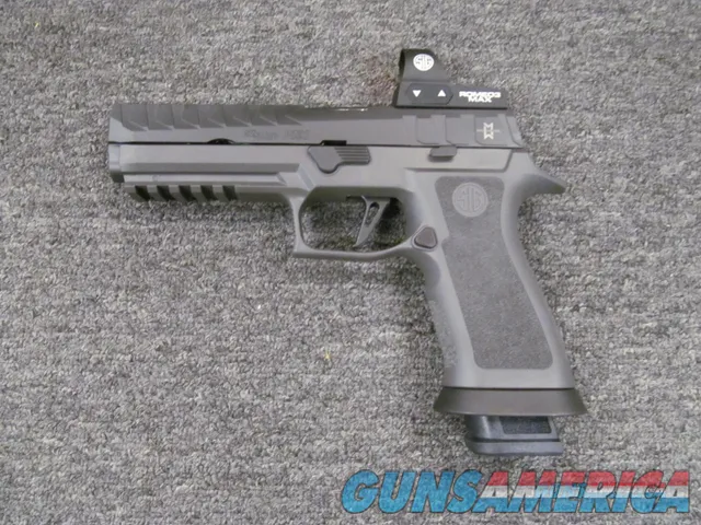 Sig Sauer P320 X5 Max Michel (320X5-9-MA...