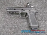 Sig Sauer P320 X5 Max Michel (320X5-9-MAXM) Custom Works
