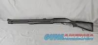 60% OFF! AlphArms Silver Eagle Gold Horse 01 SA 12 Ga Shotgun 24" Barrel