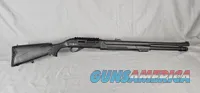 60% OFF! AlphArms Silver Eagle Gold Horse 01 SA 12 Ga Shotgun 24" Barrel