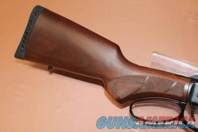 Henry H010G 45-70