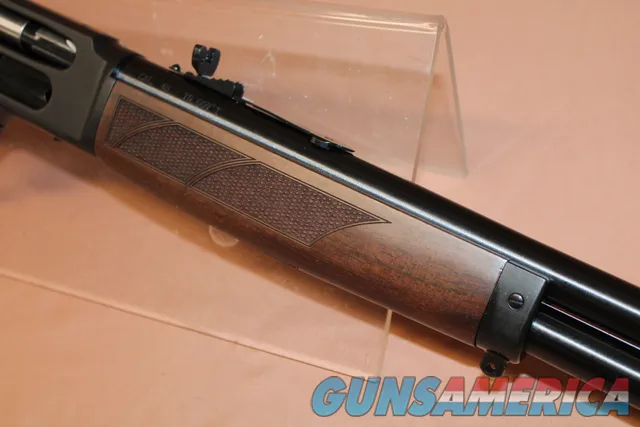 Henry H010G 45-70