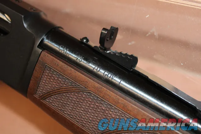 Henry H010G 45-70