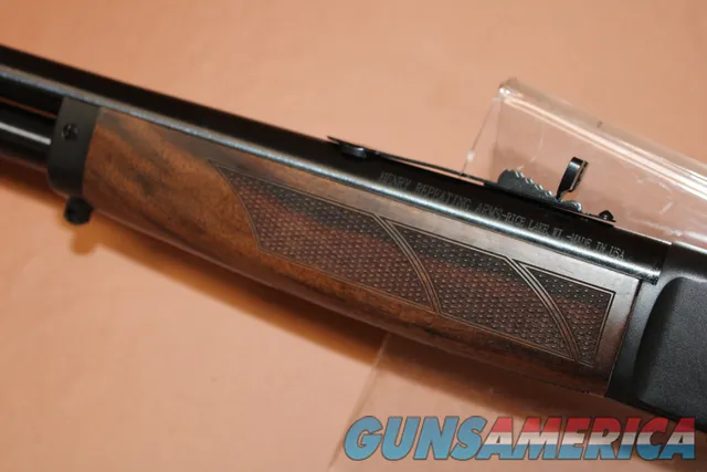 Henry H010G 45-70
