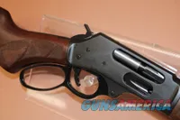 Henry H010G 45-70