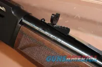 Henry H010G 45-70