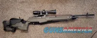 Springfield M1A in ProMag Archangel precision stock