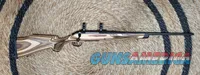 Ruger American Rifle