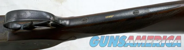 PURDEY & SONS 20 GA