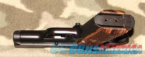 Kimber Ultra Raptor II
