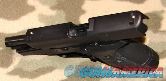 Sig Sauer P228