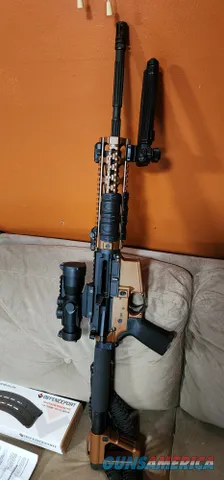 DS ARMS Custom Steampunk ZM4