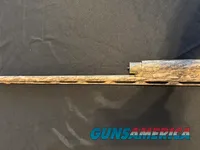 Benelli Super Black Eagle 3 20ga 28" Camo Semi-Auto comes w/ box and chokes