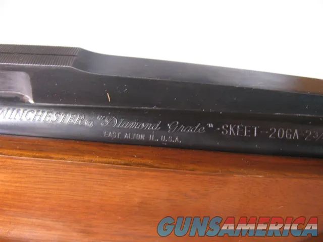 8824 Winchester 101 Diamond Grade 20 Gau...