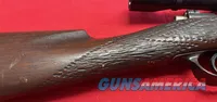 Argentine 1891 Mauser 