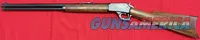 Marlin 1889 in 38 WCF Antique