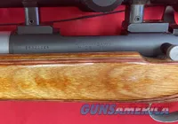 Remington 700 