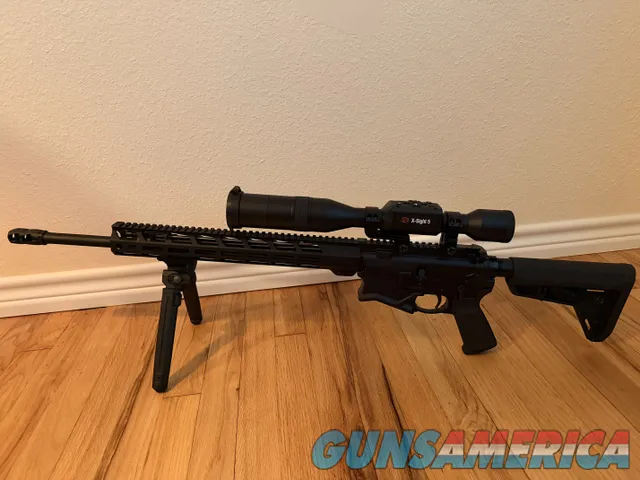 Ruger AR-10 with ATN Day/Night Scope