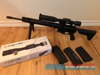 Ruger AR-10 with ATN Day/Night Scope