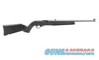 Ruger 10/22 Standard Semi-Auto .22 LR 18.5" Satin Stainless 10 Rounds 32006