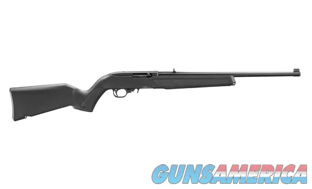 Ruger 10/22 Standard Semi-Auto .22 LR 18...