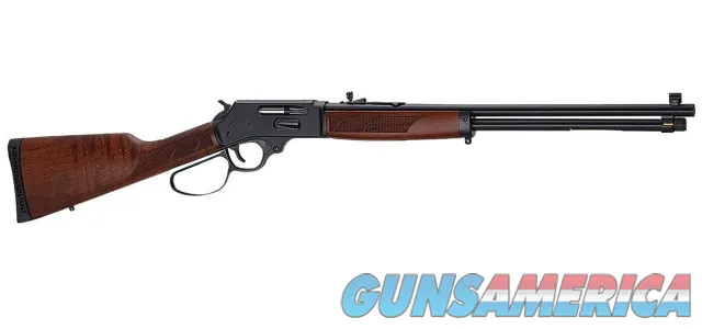 Henry Steel Lever Action Large Loop .30-...
