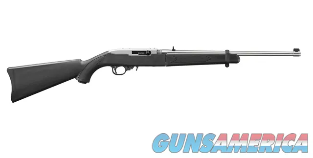 Ruger 10/22 Takedown .22 LR 18.5" Stainl...