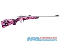 .22 Long Rifle